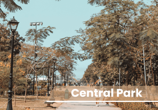 luxury Amenities of LemonTree Developers