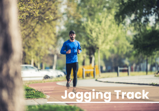 luxury Amenities of LemonTree Developers